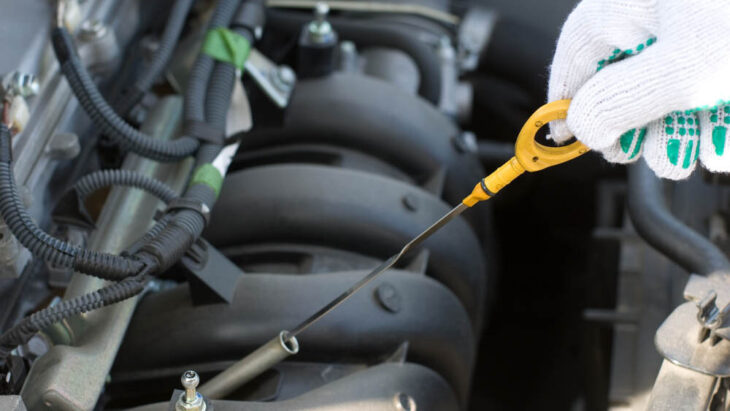 ¡Mi varilla del aceite! Cuéntame toda la verdad